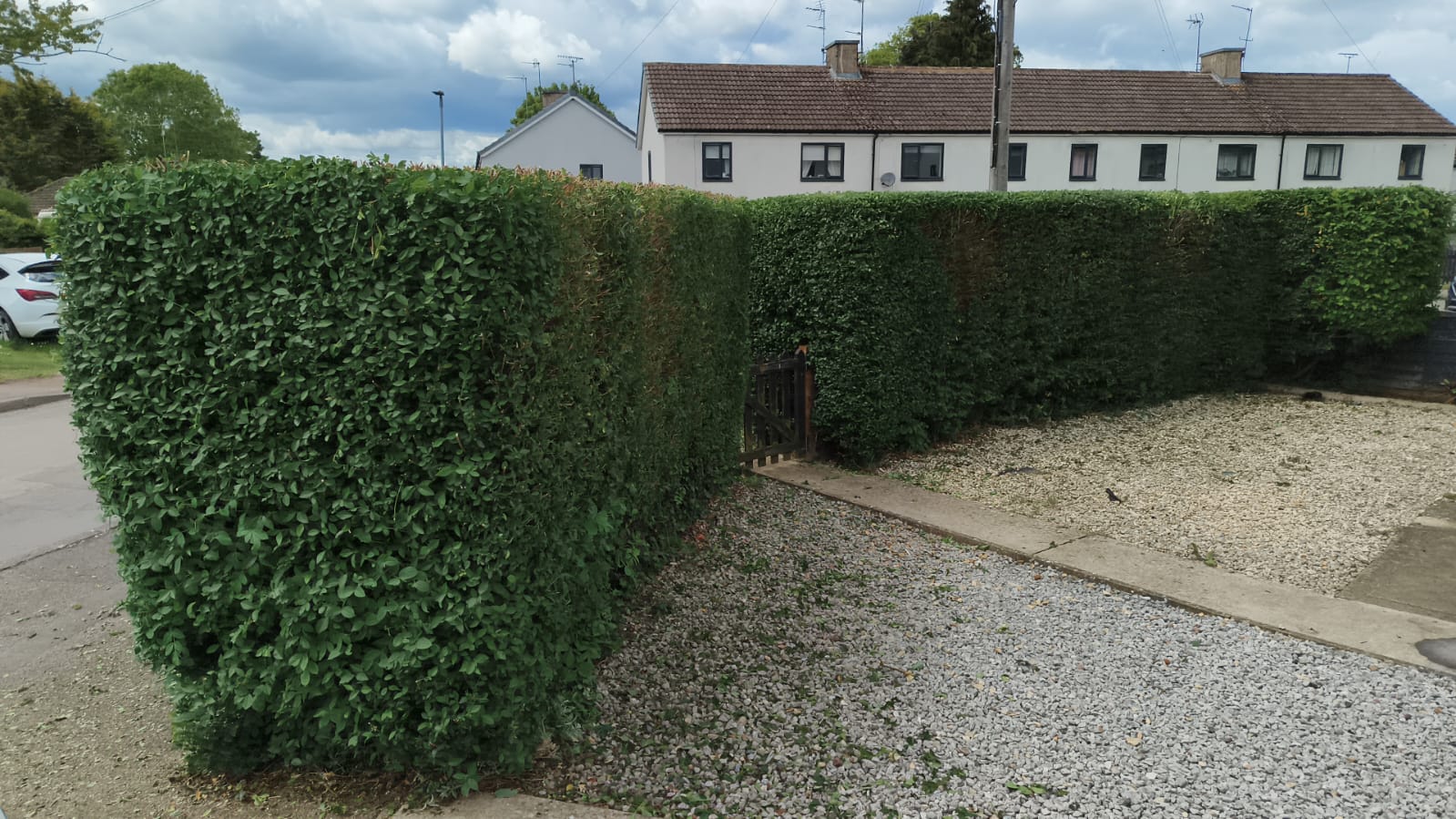 After: front hedge reduced, shaped and left with a tidy finish